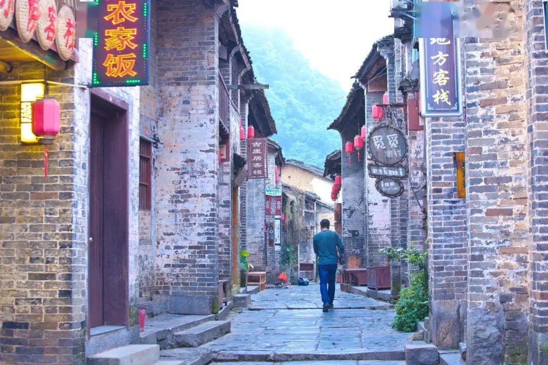 小猫钓鱼游戏龙王版有船